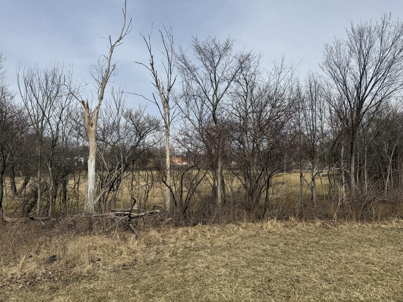 Pierce Municipal Park Golf Course - March 15 2025 Photo (newer photo)